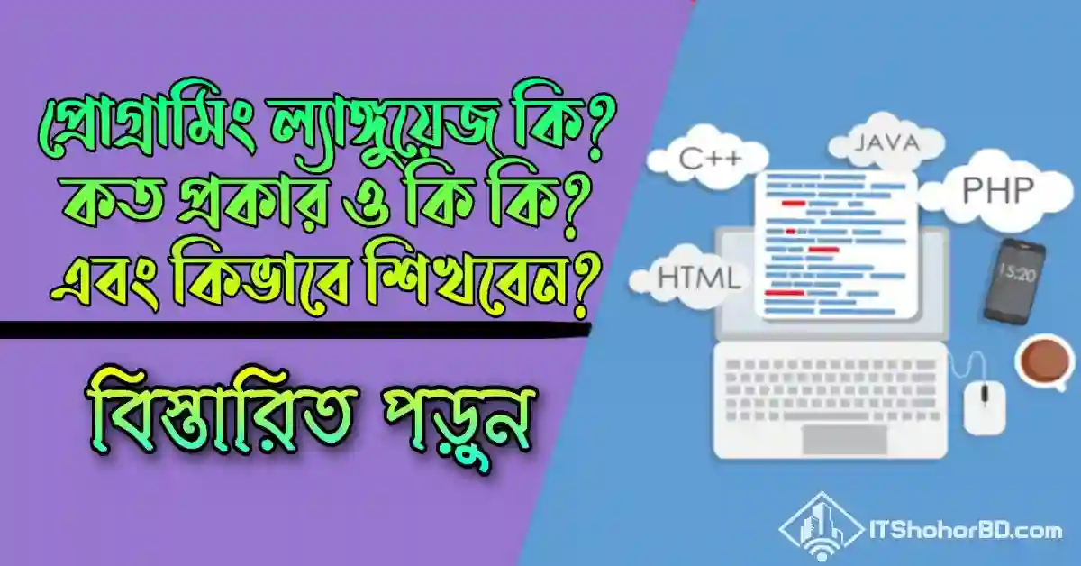 প্রোগ্রামিং ল্যাঙ্গুয়েজ কি এবং কিভাবে শিখবেন