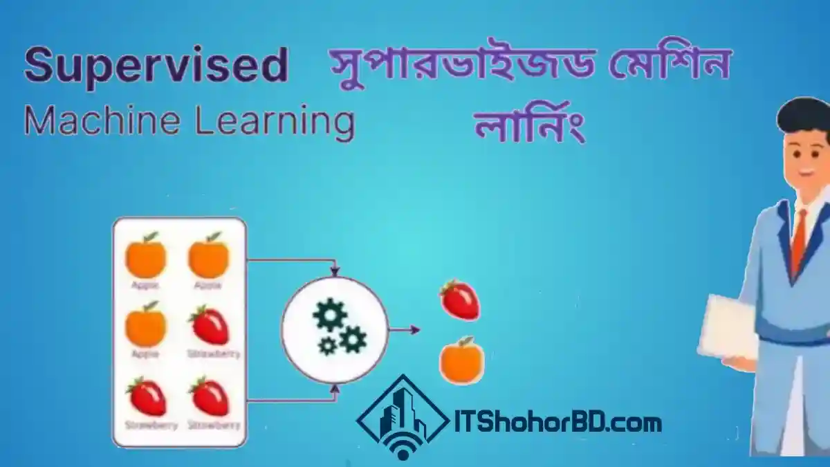 সুপারভাইজড মেশিন লার্নিং