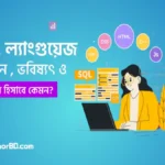 প্রোগ্রামিং ভাষা এর বর্তমান , ভবিষ্যৎ ও ক্যারিয়ার হিসাবে কেমন ?