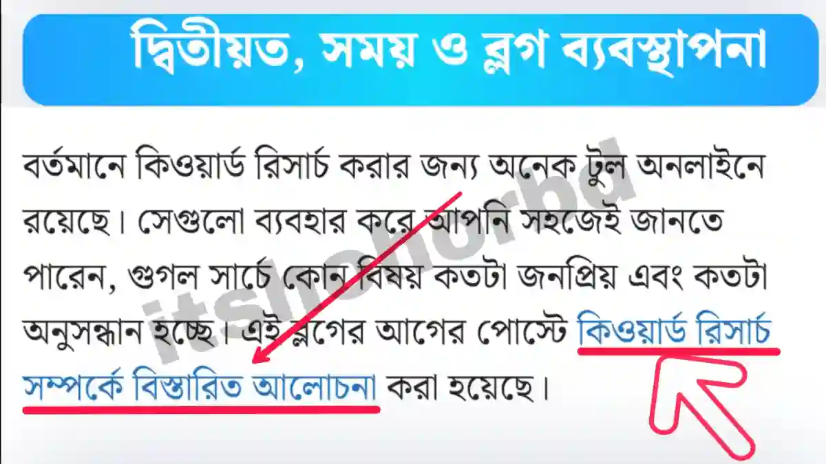 internal linking ব্লগারদের ভুল